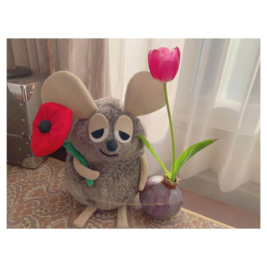 岡部麟さんのインスタグラム写真 - (岡部麟Instagram)「今年の主役さん。🐭🌷#ネズミ #フレデリック #フレデリックねずみ #チューリップ」3月25日 16時22分 - beristagram_1107