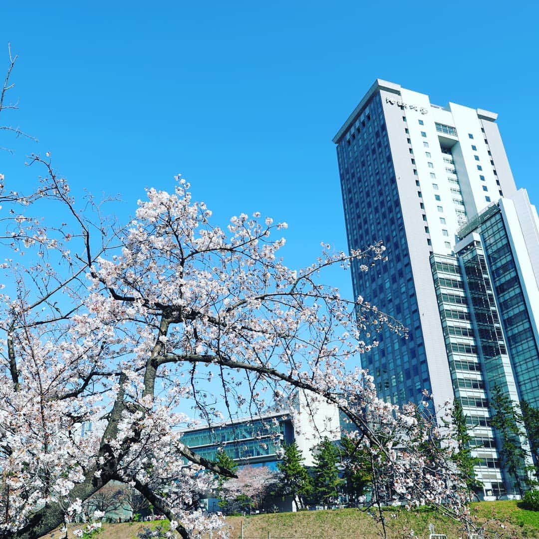 法政大学のインスタグラム