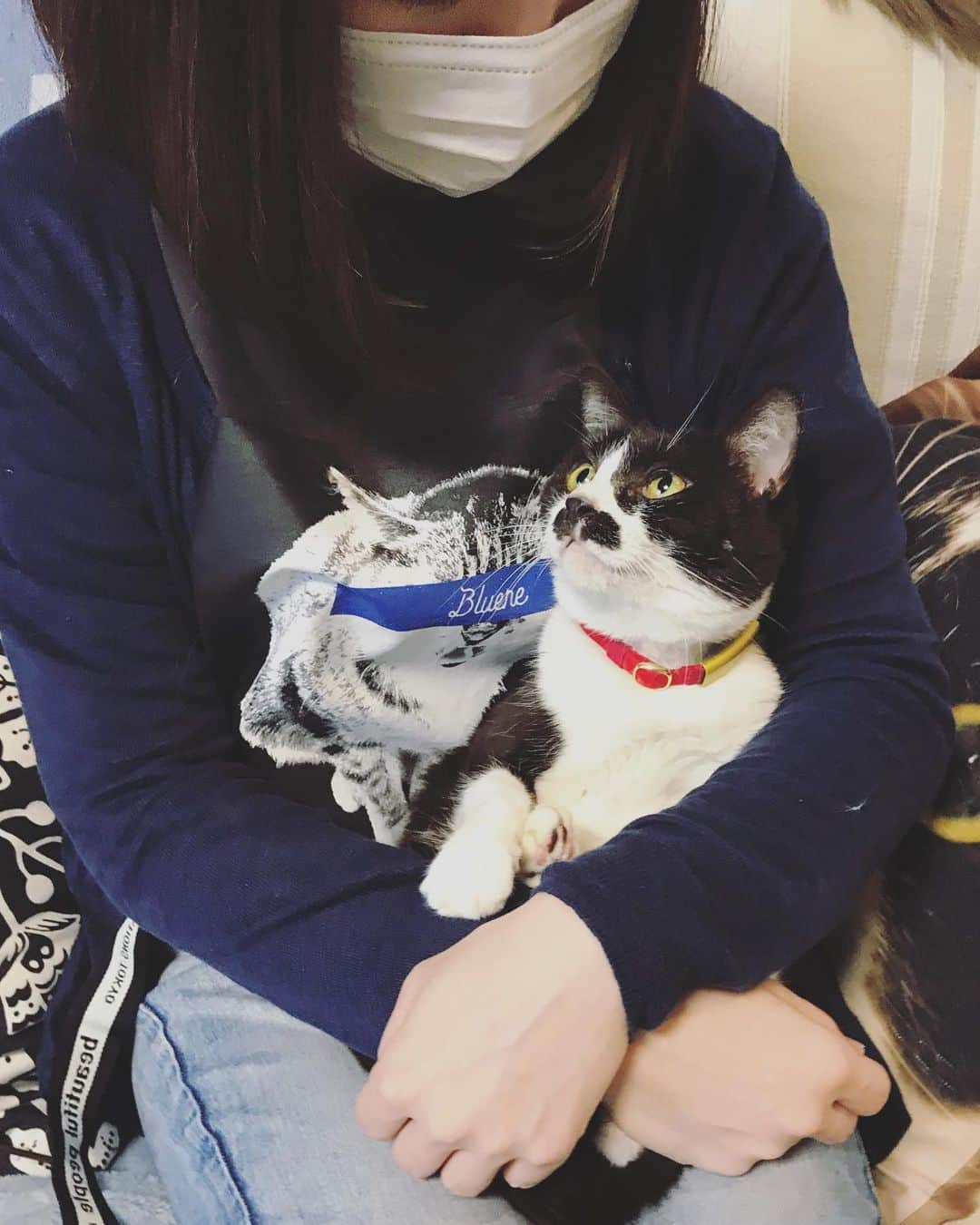 もじゃころのインスタグラム：「今日はめずらしくアイコンタクトばっちり🥰おとなしくジーっと私の目を見てくれてました🥰（アイツが来るまでは…） たぶん週末は雨降るわ…  #チョッチュ具志コロペッペ  #あいちゃんの膝の上  #水曜日の悪夢」