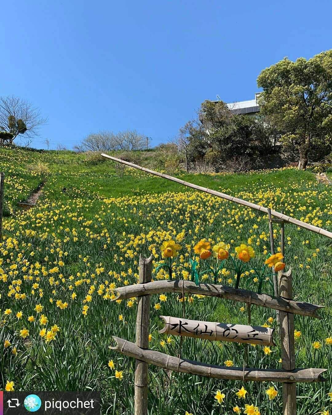 兵庫県のインスタグラム