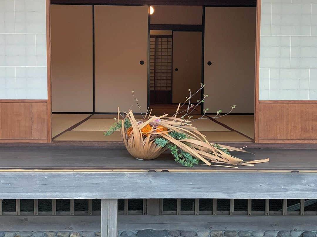 座間アキーバのグルメインスタ