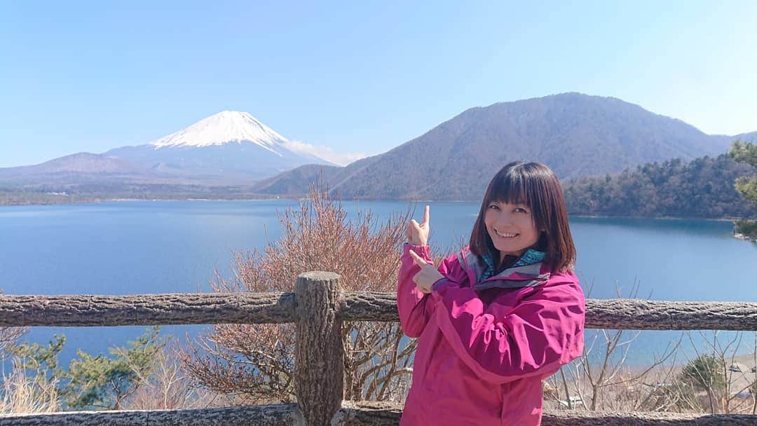 桜花のグルメインスタ