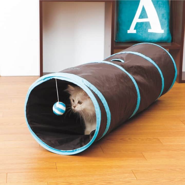 カインズさんのインスタグラム写真 - (カインズInstagram)「ネコちゃんはトンネルが大好き♪ トンネルは、猫にとって体を動かせる遊び場としてだけでなく、リラックスできる隠れ家や寝場所にもなってくれます。 パズル型の猫トンネル『キャットキューブ』は、立体に組み合わせるだけで簡単にトンネルができ、平面に組み合わせればペット用マットとしてもお使いいただけます。 また、猫が大好きなカサカサ音のする素材でできた『キャットトンネル』をつなげて、さらに楽しいプレイグラウンドにアレンジ。入り口の揺れるボール玩具でも遊べます。 コンパクトに折りたためるので、場所を取らずに収納できるのもうれしいですね。 . キャットキューブ ブラウン 10枚組/14枚組 価格 1,280～1,480円(税込) . キャットトンネル シングル/T字型 価格 1,280～1,480円(税込) . 詳しくはこちら https://www.cainz.com/shop/g/g4936695913805/ . ※一部店舗によりお取り扱いがない場合がございます。ご了承ください。 . #猫 #猫トンネル #パズルマット #ペットマット #キューブ #ペット用品 #猫ハウス #遊び道具 #猫遊び #猫のいる暮らし #cattunnel #mat #petmat #cube #catlife #cainz #cainzhome #カインズ #カインズホーム #くらしにららら」3月25日 17時35分 - cainz_official