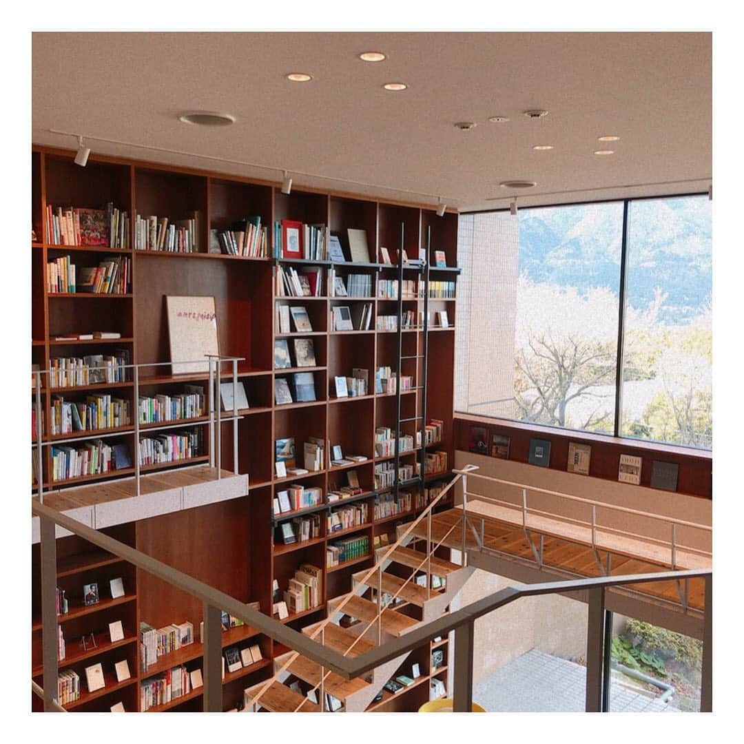 船曳ひろみのグルメインスタ