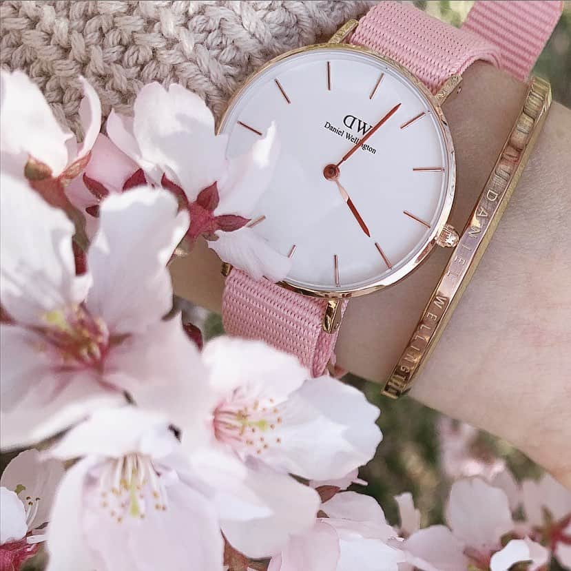 のインスタグラム：「#timetobloom  桜の咲く春の季節に インスピレーションをうけて デザインされた ピンクのベルトがかわいい Petite Rosewater ・ @danielwellington の 期間限定発売です ・ DW公式直営店舗と WEBショップで使用できる 15％OFFクーポンコード ▶︎▷▶︎ ree2 ※2020/5/30まで有効です ・ ❀4/20までフラワーシーズン限定ウォッチ ❀サクラの限定ラッピング ❀かわいいサクラのしおり 公式WEBショップにて数量限定です ・ @danielwellington 公式HP https://www.danielwellington.com/jp ・ ・　 #danielwellington #ダニエルウェリントン#timetoblossom #PetiteRosewater #watch #dw #桜 #春 #ピンク #spring #桜フォト」