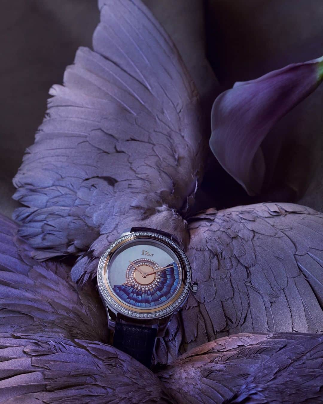 クリスチャンディオールさんのインスタグラム写真 - (クリスチャンディオールInstagram)「Celebrating the mysteries of nature, exquisite #DiorHauteHorlogerie timepieces from the 'Dior Grand Bal' collection become the key components of captivating still lifes by @JuliaHetta that capture the uniqueness of each piece, as shot for #DiorMagazine No.30. With their distinctive "Dior Inversé 11 ½" caliber movement, the visible front rotors twirl like ball gowns in delicate examples of couture feather-working or gem-setting expertise, all testaments to the justifiably renowned #DiorSavoirFaire.」3月25日 18時00分 - dior