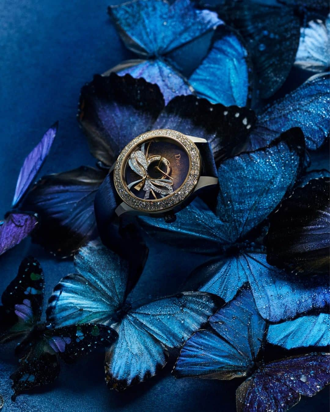 クリスチャンディオールさんのインスタグラム写真 - (クリスチャンディオールInstagram)「Celebrating the mysteries of nature, exquisite #DiorHauteHorlogerie timepieces from the 'Dior Grand Bal' collection become the key components of captivating still lifes by @JuliaHetta that capture the uniqueness of each piece, as shot for #DiorMagazine No.30. With their distinctive "Dior Inversé 11 ½" caliber movement, the visible front rotors twirl like ball gowns in delicate examples of couture feather-working or gem-setting expertise, all testaments to the justifiably renowned #DiorSavoirFaire.」3月25日 18時00分 - dior