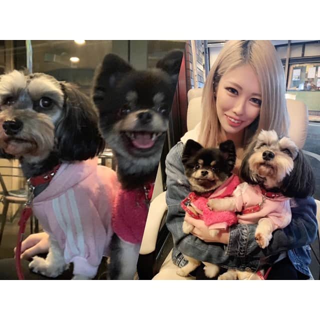 櫻井綾奈のグルメインスタ