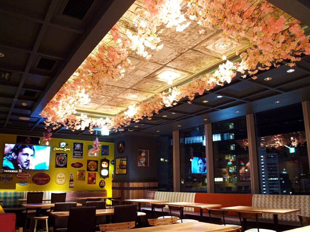 シュタインハウス新宿のグルメインスタ