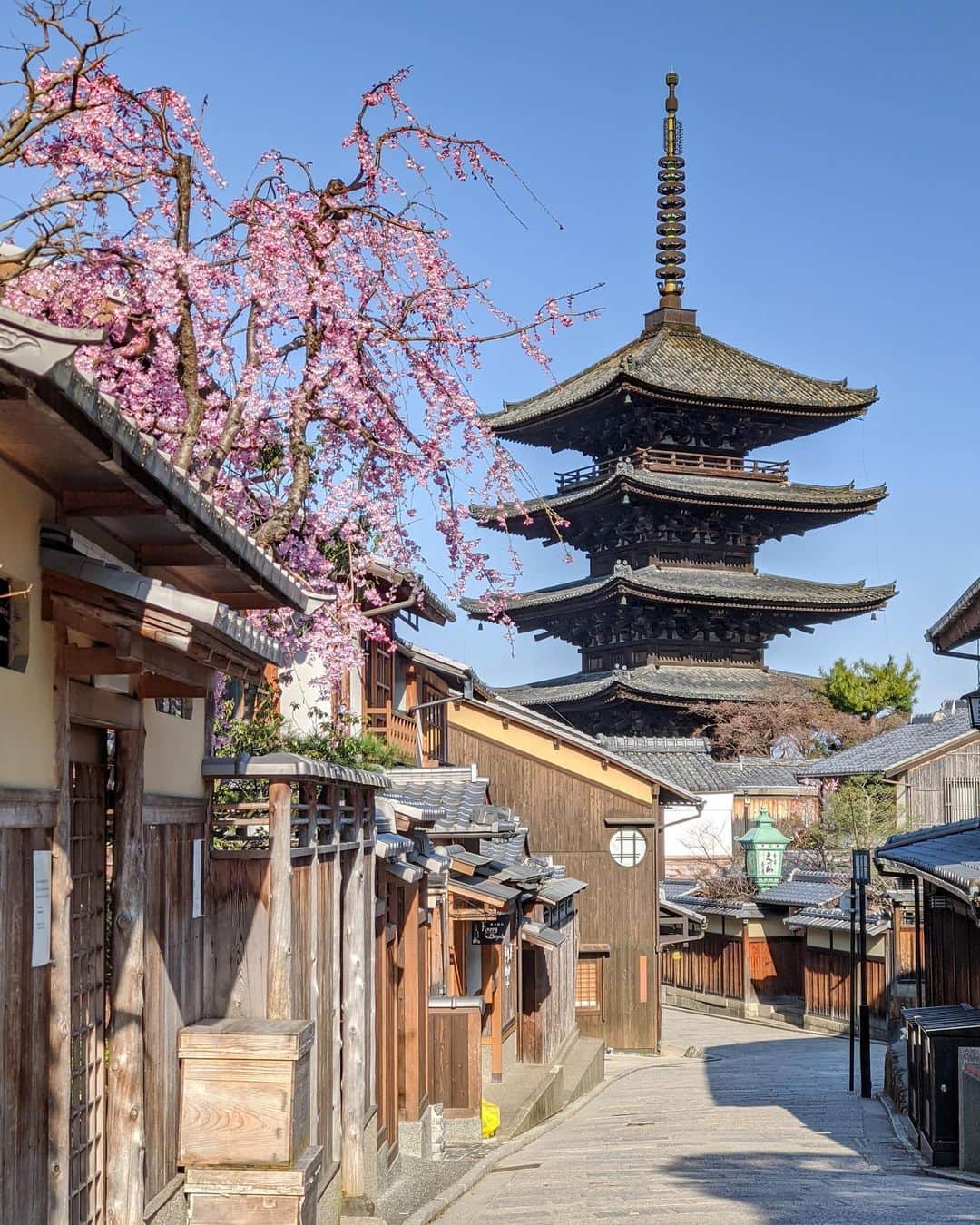 詩歩さんのインスタグラム写真 - (詩歩Instagram)「🌸﻿ ﻿ Spring has come to Kyoto city!﻿ ﻿ ”THE 京都” なこの場所にも、春がやってきました。﻿ ﻿ 春の訪れを純粋には喜べない世界情勢だけど、それでも花は咲く😌﻿ ﻿ ﻿ ﻿ 🌸﻿ ﻿ 感染症の拡大が拡がっています。﻿ ﻿ 「今なら京都空いてるらしいから、桜を見に行こう！」﻿ と思ってる人が多いけど、特に休日はだいぶ混んでいるらしい。﻿ 今週末とかやばいんじゃないかな？🤔﻿ ﻿ わたしは早朝しか出歩いていないので雰囲気が分からないけど、飲食店の方にきくと先週の三連休は日本人の観光客でごった返していたそう。﻿ ﻿ おでかけしたい気分もわかるけど、人混みは避ける！手洗いうがいマスクはしっかり！！！﻿ 自分はもちろん、大切な周りの人を守る行動をしていきましょう！💪﻿ ﻿ ﻿ ※観光後は手洗いうがいを忘れずに！人がいない早朝などに行きましょう。﻿ ※桜は見頃を過ぎてる可能性があります。開花状況は自分で調べてね〜﻿ ﻿ ﻿ ﻿ #pixelで撮影﻿ ﻿ ﻿ 📷23rd Mar 2020 ﻿ 📱@googlepixel #teampixel (スマホで撮影)﻿ ﻿ 📍京都﻿ 📍Kyoto Japan﻿ ﻿ ﻿ ©︎Shiho/詩歩﻿」3月25日 18時35分 - shiho_zekkei