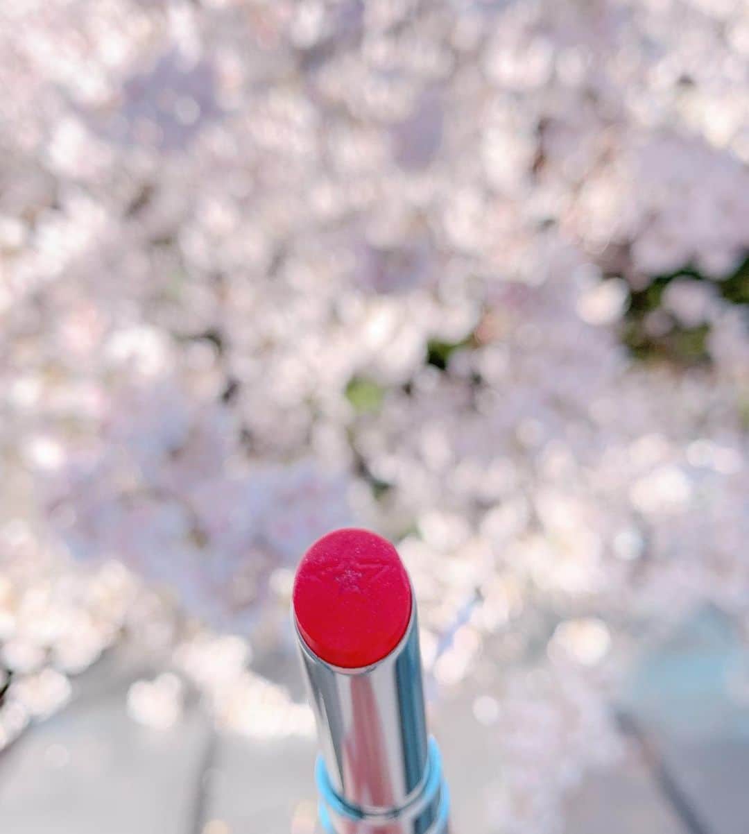 トリンドル玲奈さんのインスタグラム写真 - (トリンドル玲奈Instagram)「見れた〜♡ 近所のお花を見てから、 おうちでお花を思い出しながら笑 ゴハンを食べました。  瑠奈もいたし🌸、 楽しかった〜😋」3月25日 18時50分 - toritori0123