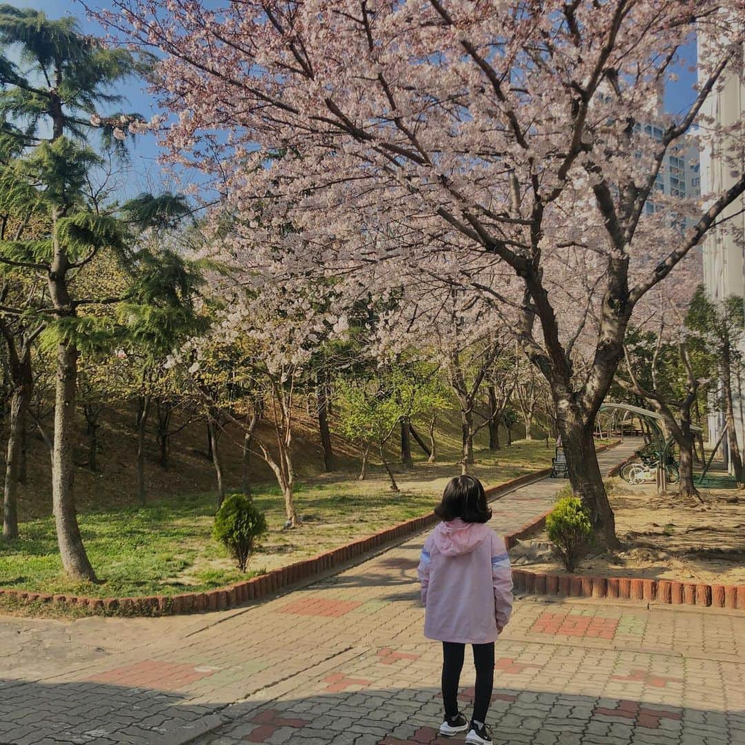 ジェウンさんのインスタグラム写真 - (ジェウンInstagram)「코로나 빼고 모든 조건이 완벽했던 외출🌿 햇빛도 날씨도 미세먼지도좋고 심지어 스스로 갇혀지내는사이 꽃도 피었다🌸 사회적 거리두기를 실천해야하는때이지만, 서로 조심조심하며.. 가끔은 햇빛소독하며 햇살충전 하자구요🥰 . . #잰 #재은#김초딩#꽃이활짝#오후산책#봄산책#플라잉요가#그네달인」3月25日 18時52分 - jaen_mom