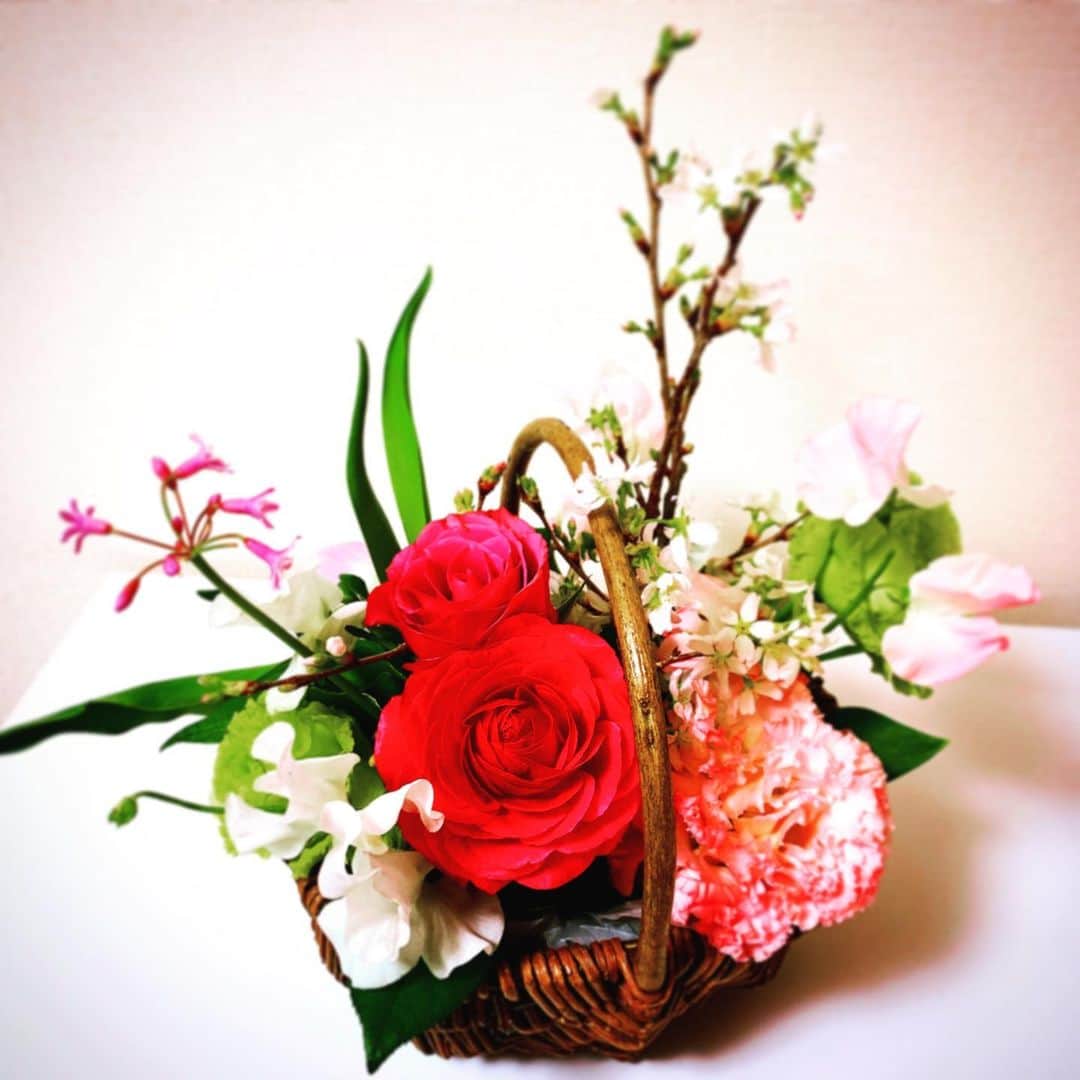 安枝瞳さんのインスタグラム写真 - (安枝瞳Instagram)「. お家に素敵なお花が届いたよ💐 素敵な心遣い、いつも本当にありがとうございます☺️🌸 #花のある生活 #オートクチュールデザイン」3月25日 19時03分 - hitomiyasueda