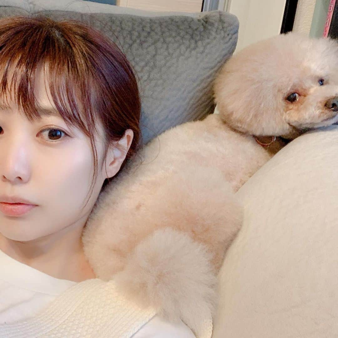 楠田亜衣奈のインスタグラム：「なぜか肩の上で寝るちっぷ。」