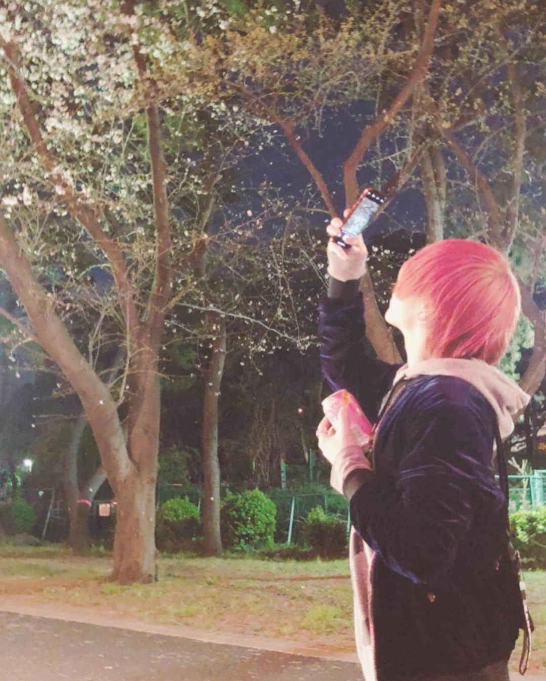 椿ありのインスタグラム：「2020年初桜は先週の土曜日だった🌸 髪も桜😘  #桜#ピンク#pink#春 #春よ遠き春よ  #何か太って見える」