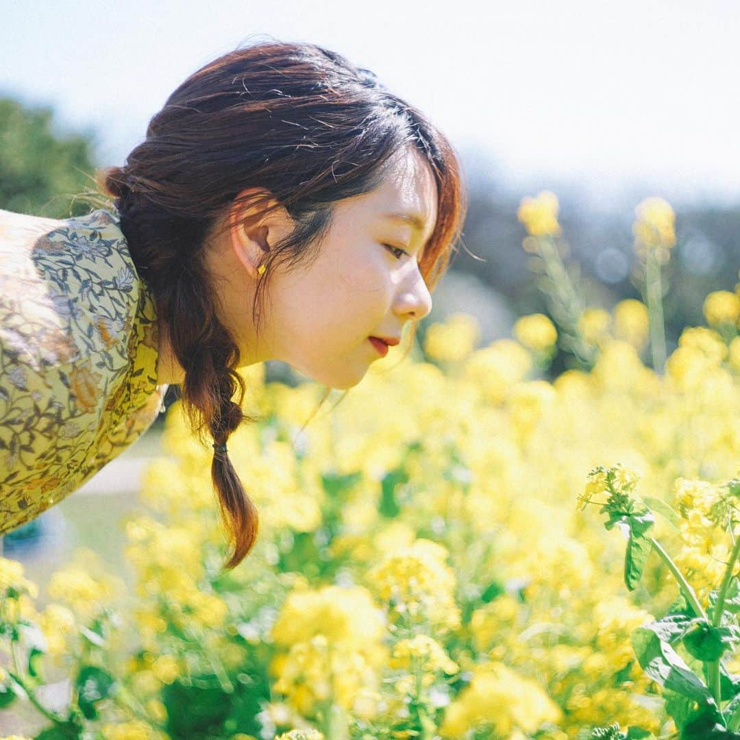 Naokoさんのインスタグラム写真 - (NaokoInstagram)「春想う* * 安定した春が待ち遠しい🌸 お庭の姫沙羅の葉が芽吹き始めました。」3月25日 19時26分 - chiaoking