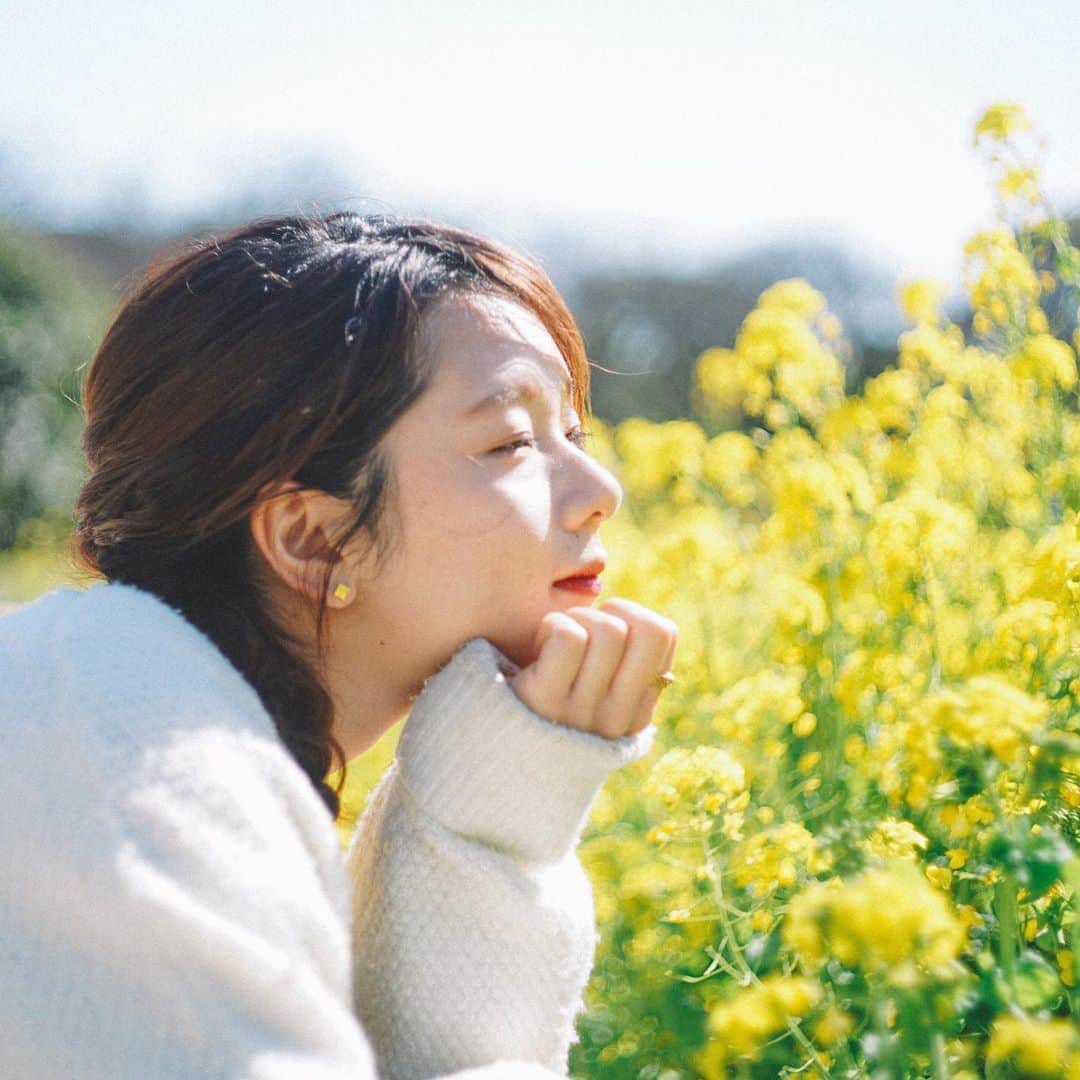 Naokoのインスタグラム：「春想う* * 安定した春が待ち遠しい🌸 お庭の姫沙羅の葉が芽吹き始めました。」