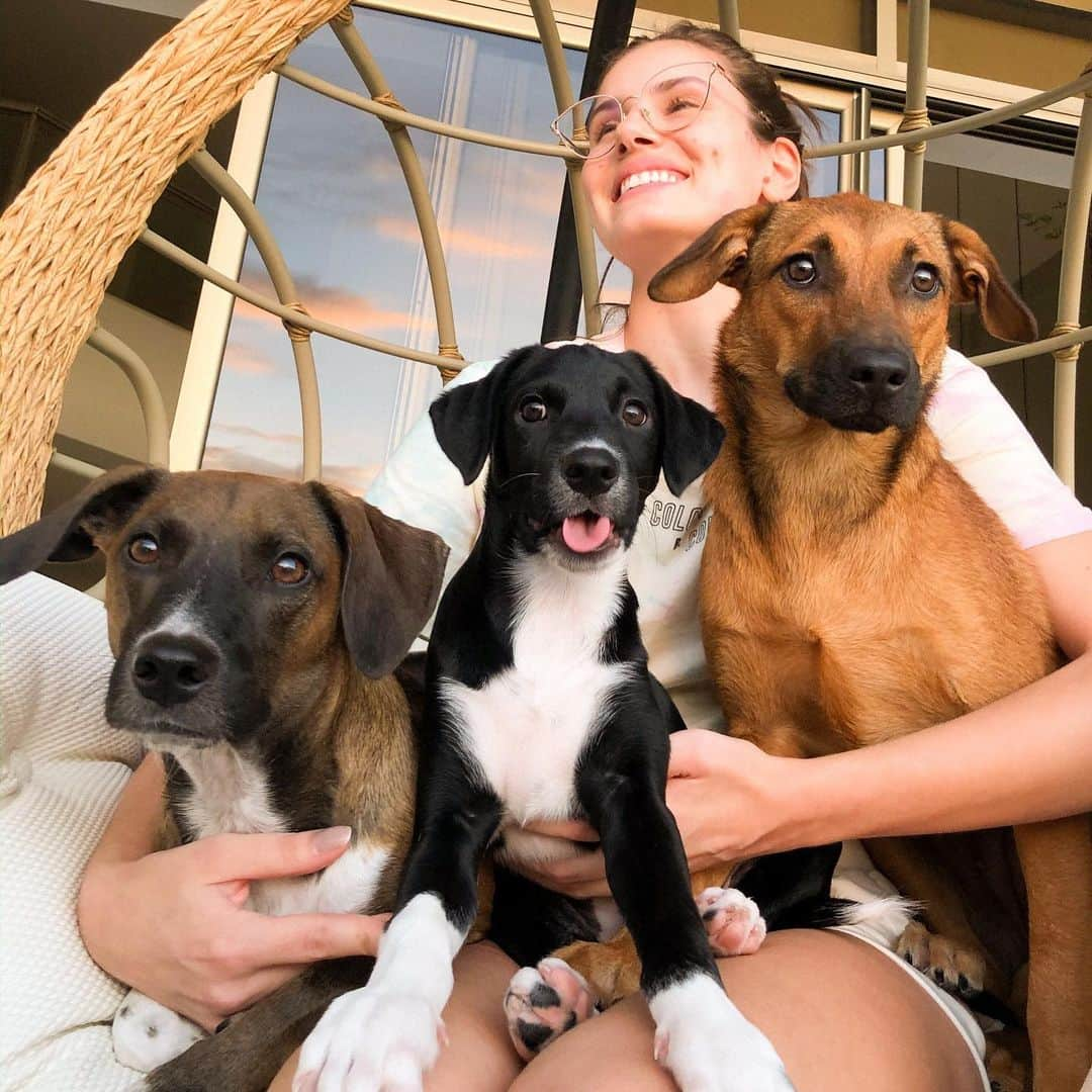 Camila Queirozさんのインスタグラム写真 - (Camila QueirozInstagram)「Nosso trio parada dura 🐶❤️ Céu, Lua e Angel.. faltou a Belessa nossa 🐱. Elas trazem muita alegria e bagunça  para a nossa quarentena, nossas cãopanheiras. Ah, se você puder, fique em casa!  Nao compre, Adote!  #adote #ifyoucan #stayhome」3月26日 6時07分 - camilaqueiroz