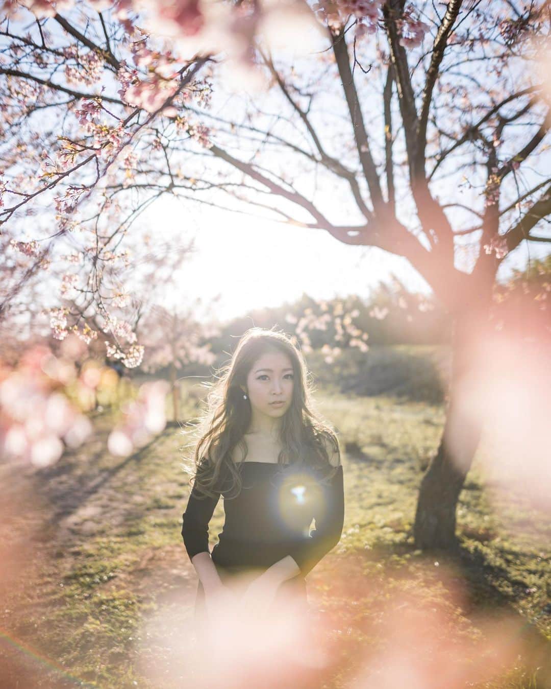 U2 Filmmakerのインスタグラム：「Cherry blossoms🌸 @chicchi_2222」