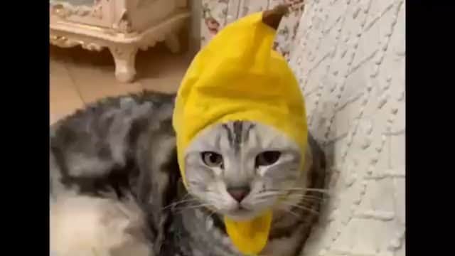 藤岡幸夫のインスタグラム：「😂😂😂😂😂」
