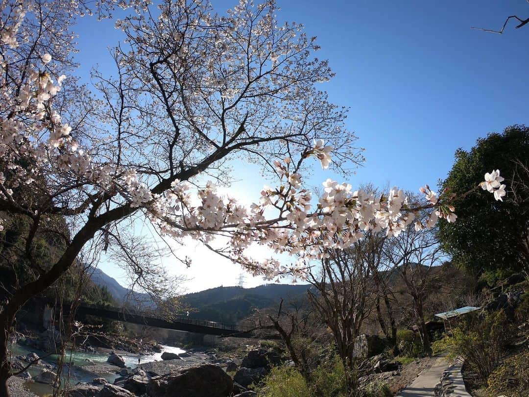 伊東秀和さんのインスタグラム写真 - (伊東秀和Instagram)「今日は昼からゆっくり御岳へ🌟 昔の投稿を確認したら、ちょうど2年前でした✅その時もロッキーボルダーで色々登ったの思い出しました！ 最近、抜けない肩周りの痛みと違和感が、今日もあったので、ほぼピクニックで登りは少しだけ💫 久しぶりの御岳は桜もちょうど咲いてきていたし天気も良かったので気持ちいい時間でした。やっぱり自然の中は最高😁登った後は、立川のバーガーを食べに！！ボリューム満点。美味しかった！ 帰宅すると、サポートしていただいているオリエンタルバイオから、ちょうどなくなっていた様々なサプリメントが届いてました。スペインから帰国後、肩周りの疲労と違和感が続いていたし本当に助かります。明日からの回復に期待✨ @raffinee_orientalbio  @mammut_japan  @camp1889  @oldnewdiner  #オリエンタルバイオ  #ラフィーネ  #ラフィーネアルファ  #ラフィーネエパゴールド  #楽しまナイト  #回復サプリ  #御岳  #御岳ボルダー  #桜  #春 #回復day  #ピクニック  #japan  #立川 #ハンバーガー」3月25日 22時29分 - hide9a2019
