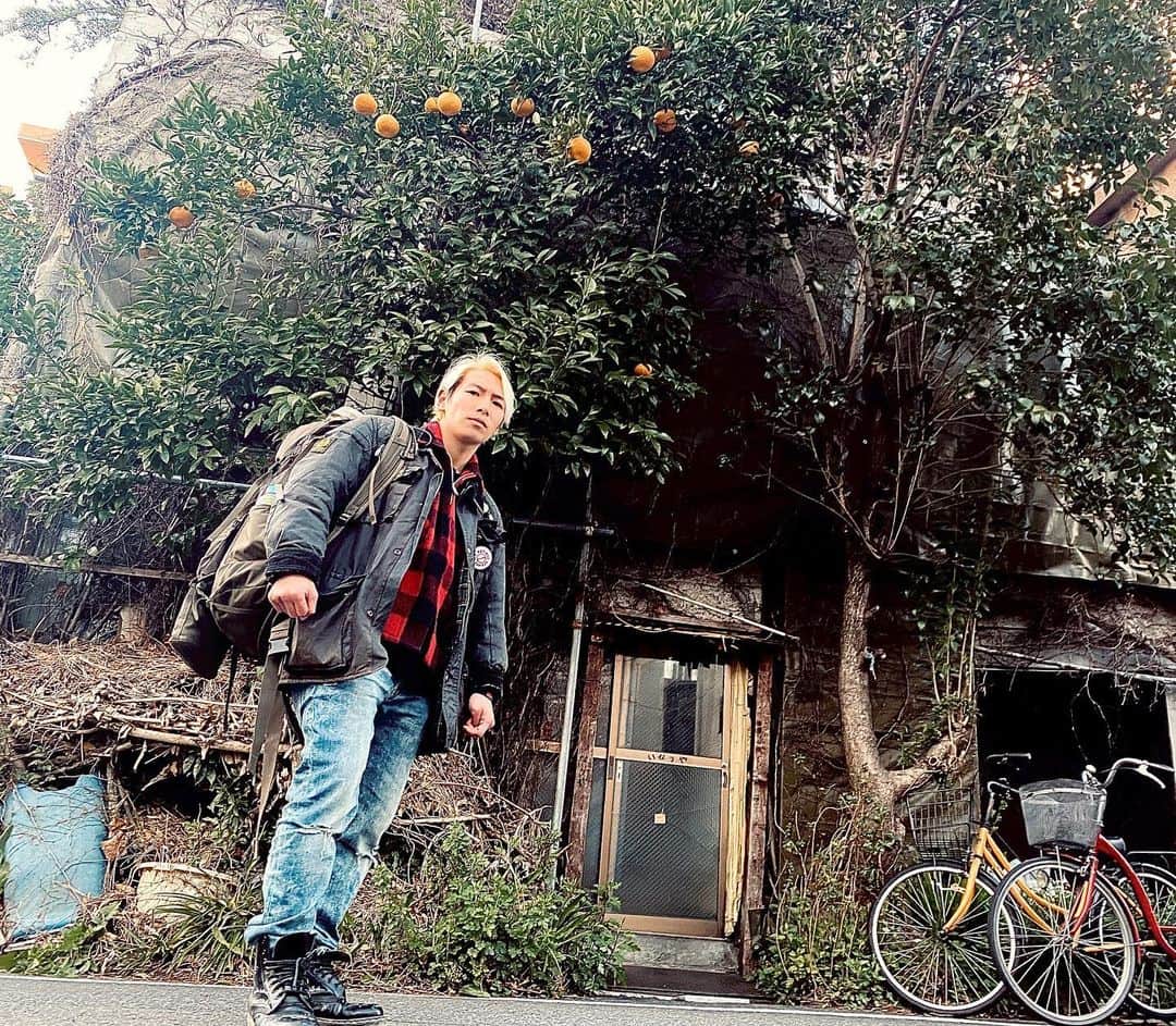 ジョーブログさんのインスタグラム写真 - (ジョーブログInstagram)「ホームレスは日本三大ドヤ街とスラムと言われた山谷の最恐宿に行ってきました。 この草に覆われた家がその宿ですw ハプニングが起きすぎて、家がないって大変やなあと実感… 詳しくは動画で見てなあ↓ https://youtu.be/-exbIaBiLyU  #住所地球　#人生散らかそうぜ　#ジョーブログ  #レディゴー」3月25日 23時06分 - joeanddream