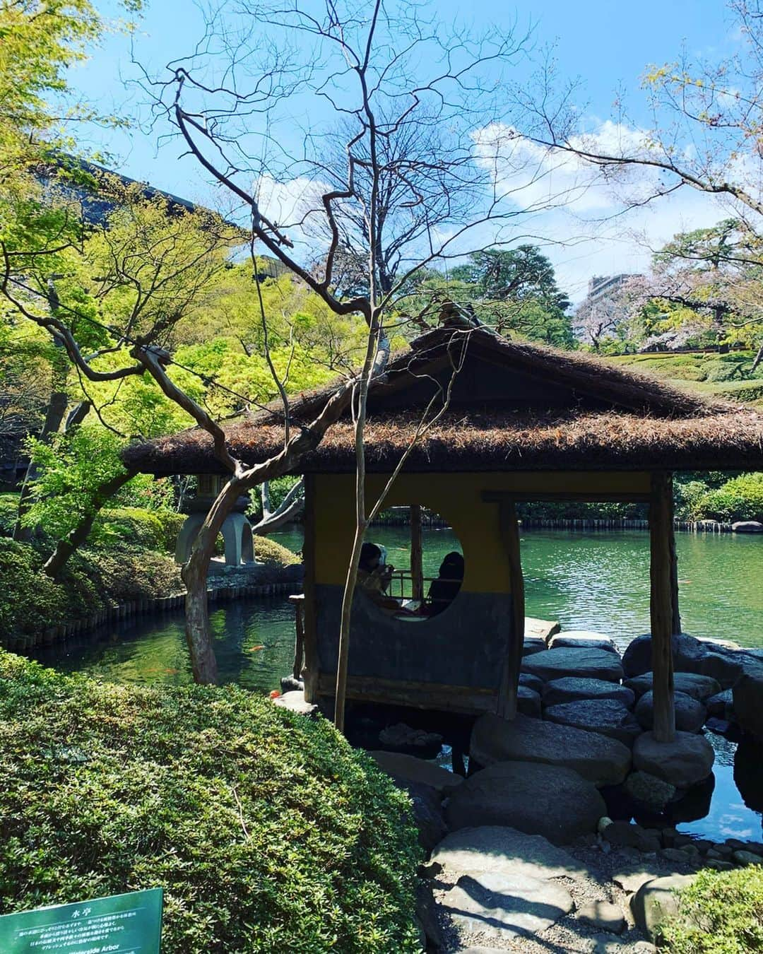 朝岡実嶺さんのインスタグラム写真 - (朝岡実嶺Instagram)「八芳園に行って来ました。 お庭がとても綺麗でしたよ✨ 台湾烏龍茶のお店Kiki で、とても可愛い十二支のイラストが描かれた缶を発見😍 好きな缶に好きなお茶を入れてもらえるので、私は犬のイラストの缶に大好きな高山烏龍茶を入れてもらいました😊 I went to Happouen, and its garden was so beautiful✨ There is a Taiwan Oolong tea shop Kiki where you can find pretty tea tins with lovely 12 zodiac animal illustration😍 You can make your own combination of tea and a tin, so I chose High mountain oolong tea and a dog tin😊 #八芳園 #日本庭園 #季季 #高山烏龍茶 #干支イラスト #happouen #japanesegarden  #kiki #highmountainoolongtea  #taiwantea #zodiacanimals」3月25日 23時46分 - mirei_asaoka