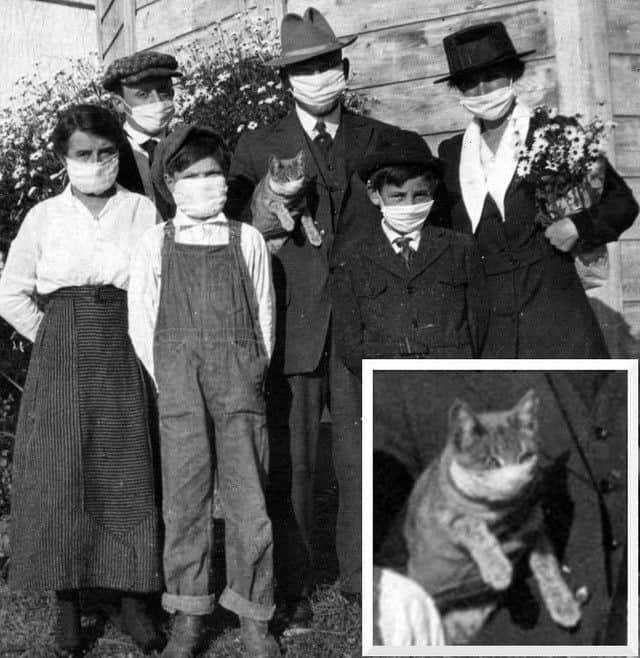 9GAGさんのインスタグラム写真 - (9GAGInstagram)「Mustn’t forget the meow meow. (Spanish Flu, 1918)⠀ #history #9gag」3月26日 0時00分 - 9gag
