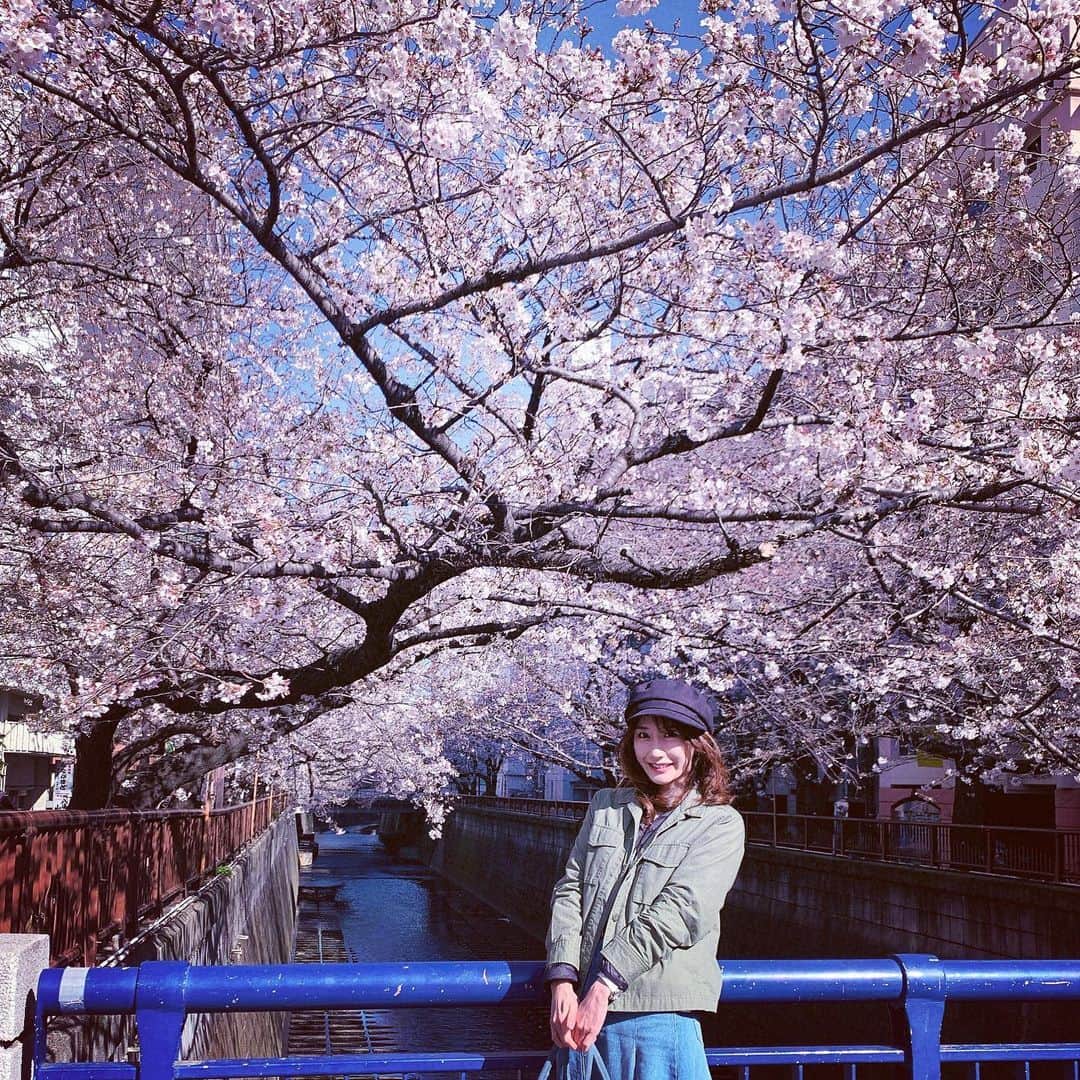小原春香のインスタグラム：「#桜 #花見 #春 #お花見女子 #年に一度 #中目黒」