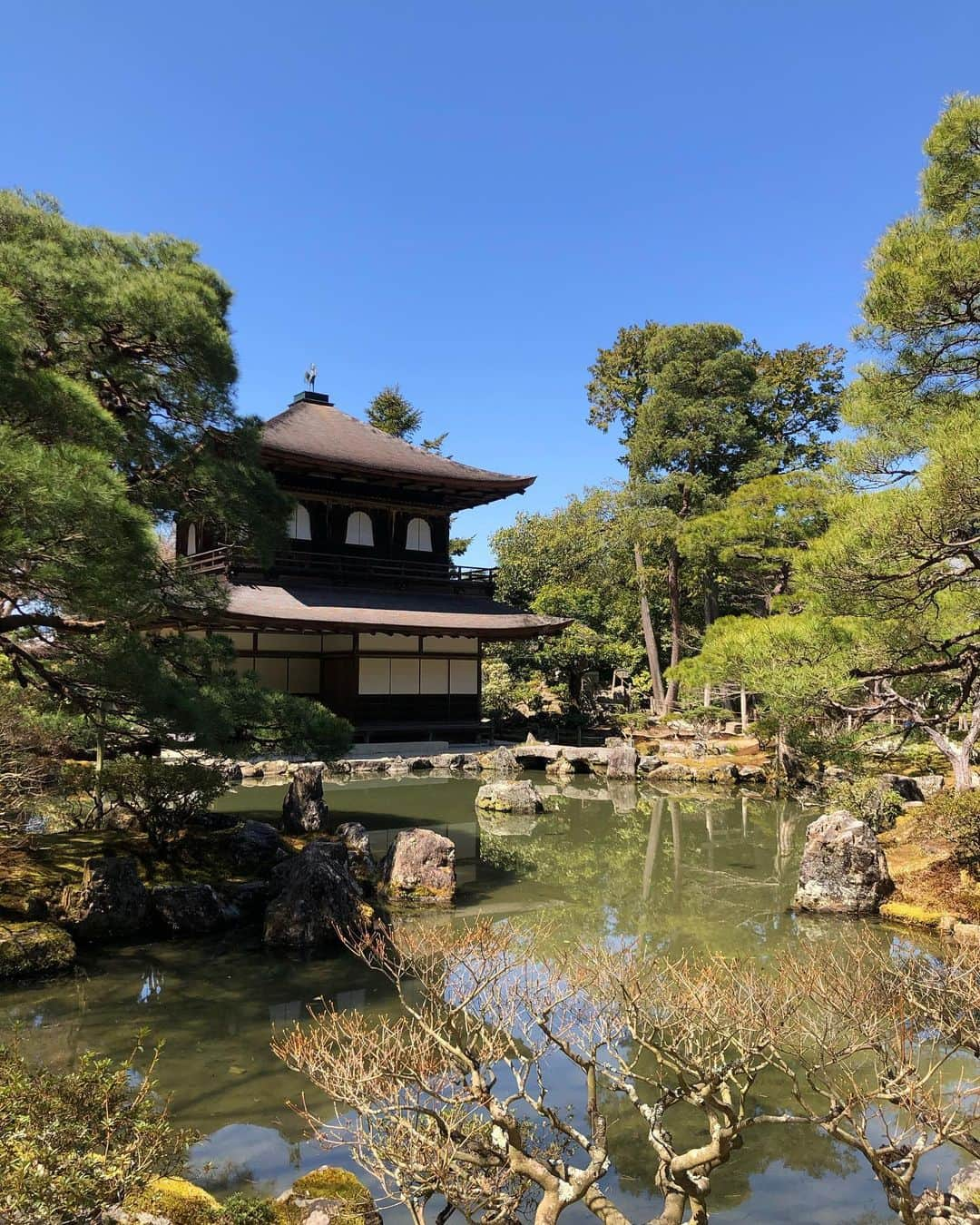 三原勇希さんのインスタグラム写真 - (三原勇希Instagram)「beautiful Kyoto 🌸🍃 今はがまん、だけどまた来るよ〜！！」3月26日 0時18分 - yuukimeehaa