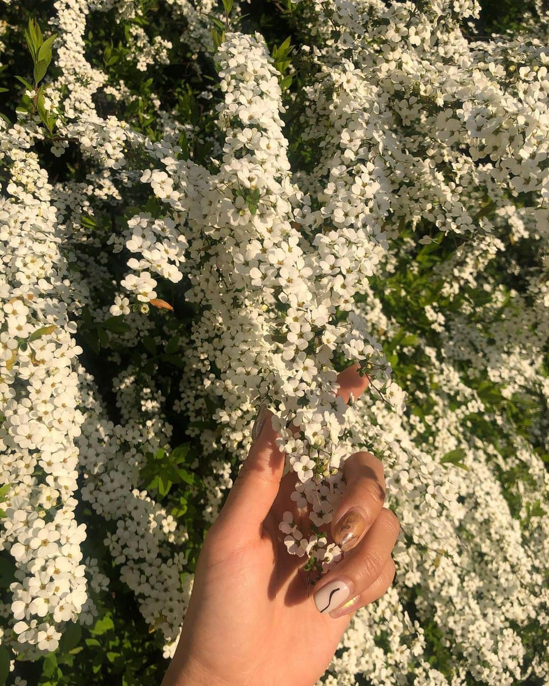 三原勇希さんのインスタグラム写真 - (三原勇希Instagram)「beautiful Kyoto 🌸🍃 今はがまん、だけどまた来るよ〜！！」3月26日 0時18分 - yuukimeehaa