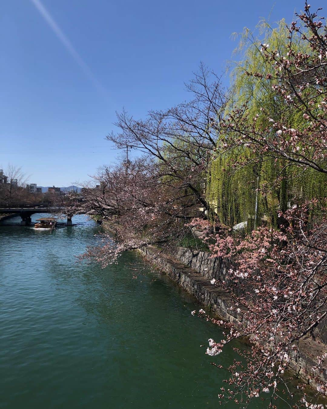 三原勇希さんのインスタグラム写真 - (三原勇希Instagram)「beautiful Kyoto 🌸🍃 今はがまん、だけどまた来るよ〜！！」3月26日 0時18分 - yuukimeehaa