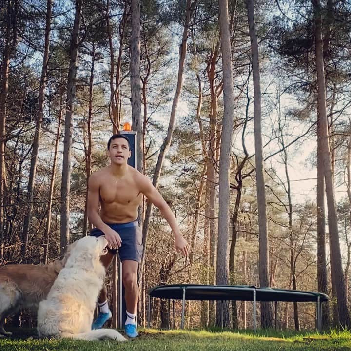 アレクシス・サンチェスのインスタグラム：「🏠 Entrenamiento en casa  Allenamento a casa 🐾  Training at home 🏠」