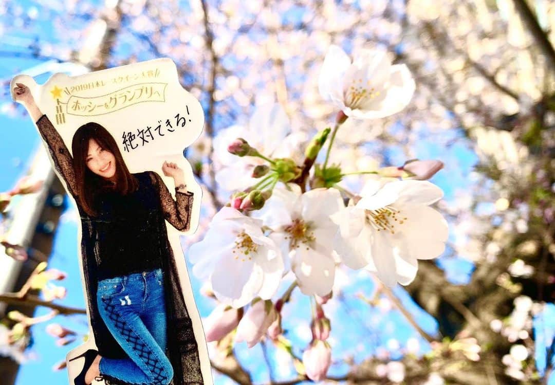 のインスタグラム：「ファンの方が年末頃に、決起集会やイベントで配った『ミニほしちゃん』を持ってお出かけしたり、おうちで撮影してくれたのが嬉しかった😿💕👌 ・ ・ #レースクイーン#japanese#japanesegirl#2020 #星野奏#写真好きな人と繋がりたい#桜 #猫#会えない時間 #spring #春 #ミニほしちゃんの使い方」