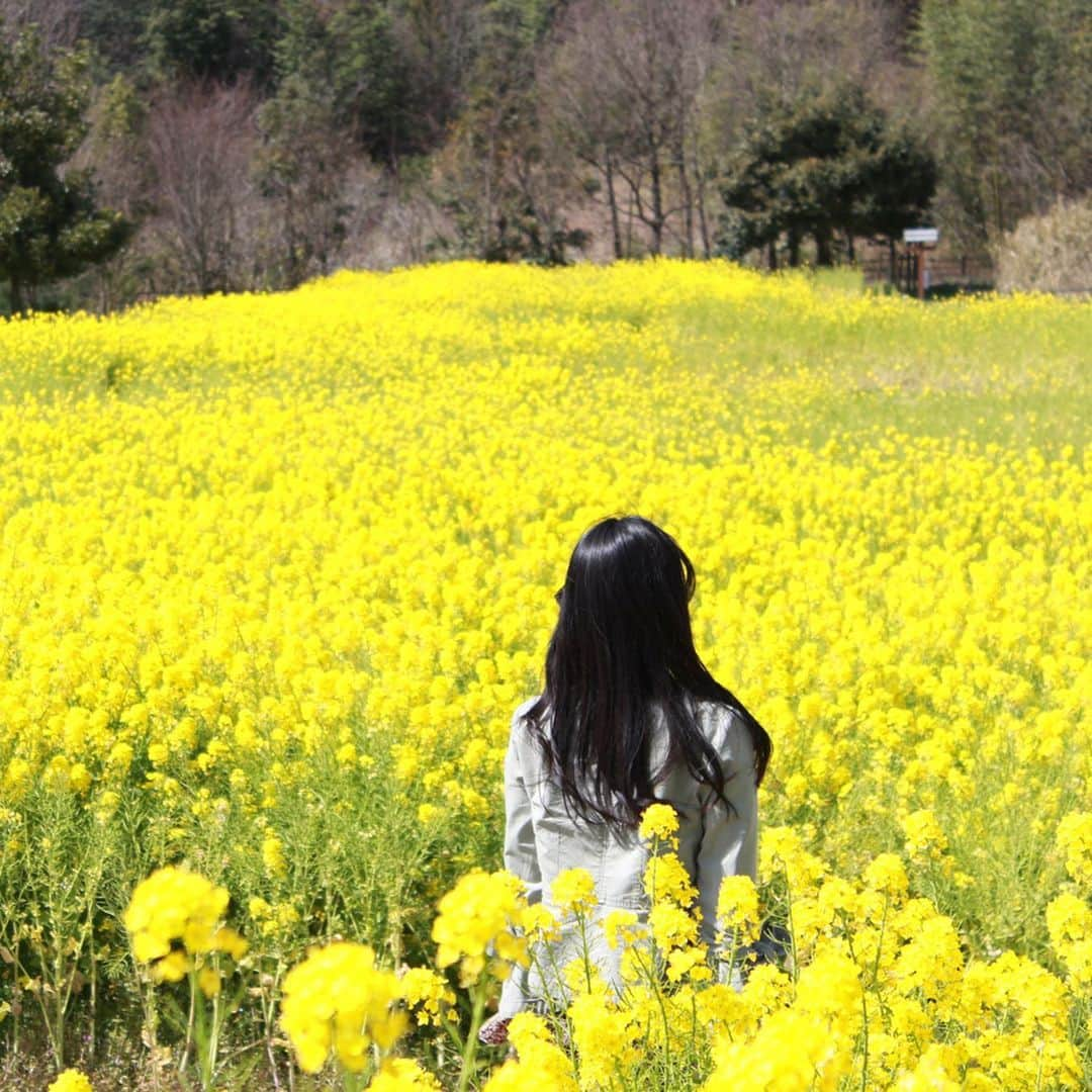 内田有理のインスタグラム