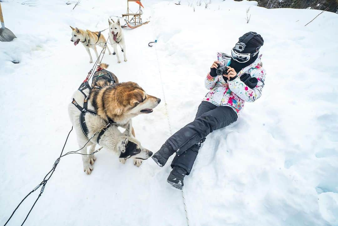 リサ・アンさんのインスタグラム写真 - (リサ・アンInstagram)「#throwback #March2019 #dogsledding  What an experience, from driving to dog sled to playing with the puppies @aksleddogtours was epic!  #Alaska #mushing #iditarod」3月26日 1時59分 - thereallisaann