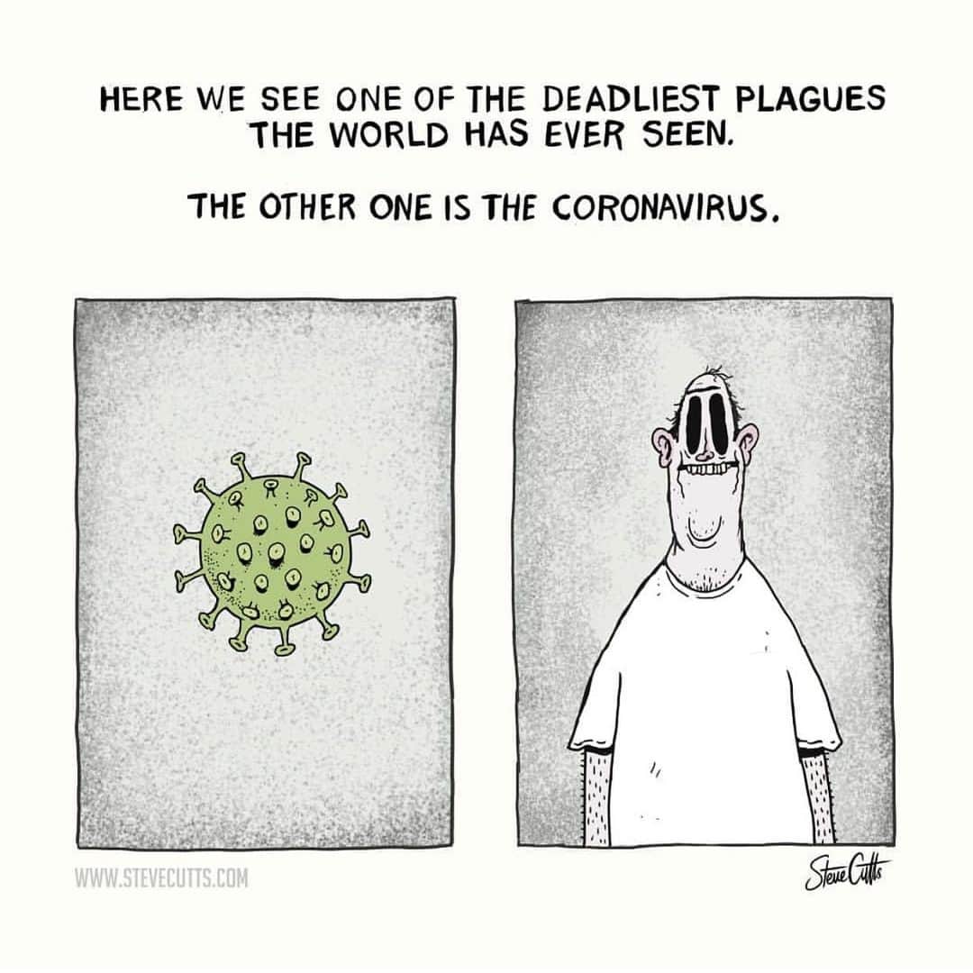 ブライアン・アダムスのインスタグラム：「Let’s not forget this virus comes from an open wet market where animals and fish of all descriptions are sold together either dead or alive. This has been going on for decades and as a result, so have these viruses. #closewetmarkets. Here’s another brilliant one from @steve_cutts_official #covid_19 #govegan」