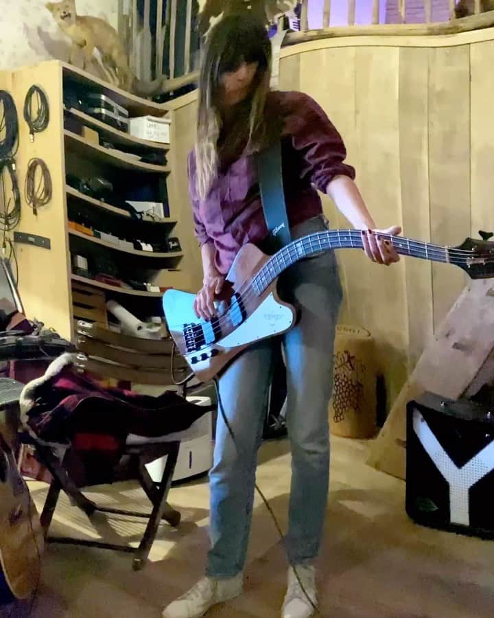 カロリーヌ・ド・メグレのインスタグラム：「Class #6 I’m so good at learning the bass, I went for a snake bass to find difficulty in the learning #AnotherOneBitesTheHouse」