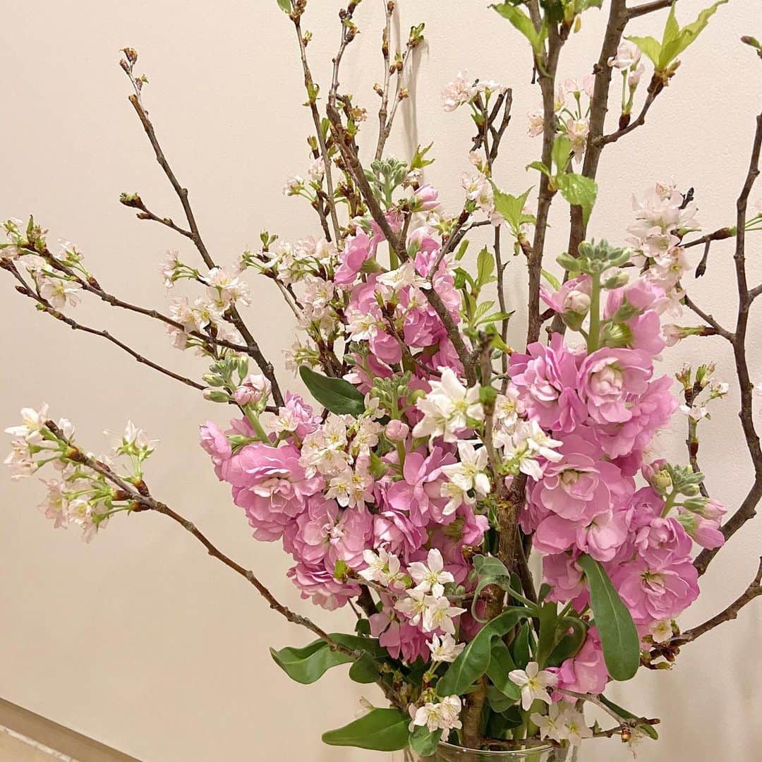 杉下理世のインスタグラム：「東京は外出自粛要請が出て、せっかくのお花見シーズンも意気揚々とお出かけできないムードになってますね🥺 春のこの一瞬だけ美しく咲き誇る桜を見にお出かけできないのは残念ですが、一方でご自宅でお花見🌸という方も増えています☺️🌸 小さいアレンジメントから大きい装花まで幅広くお届けできますので、ぜひお問い合わせくださいませ😊🌸 #桜 #自宅でお花見 #お花見 #cherryblossom #桜シーズン #春 #spring #お花のある暮らし」