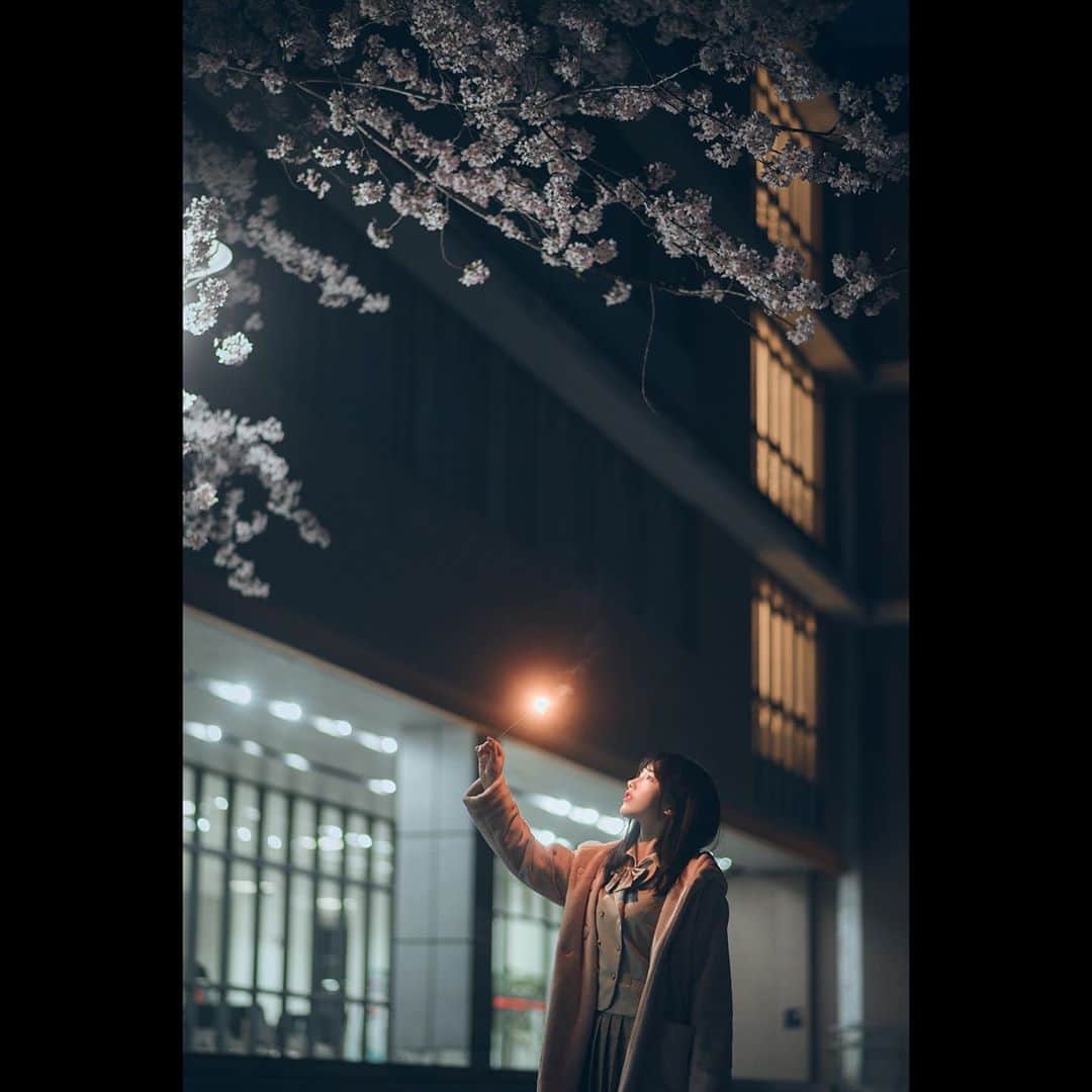犬神洛洛子さんのインスタグラム写真 - (犬神洛洛子Instagram)「去年春天的夜樱。🌸」3月26日 15時09分 - rakukoo