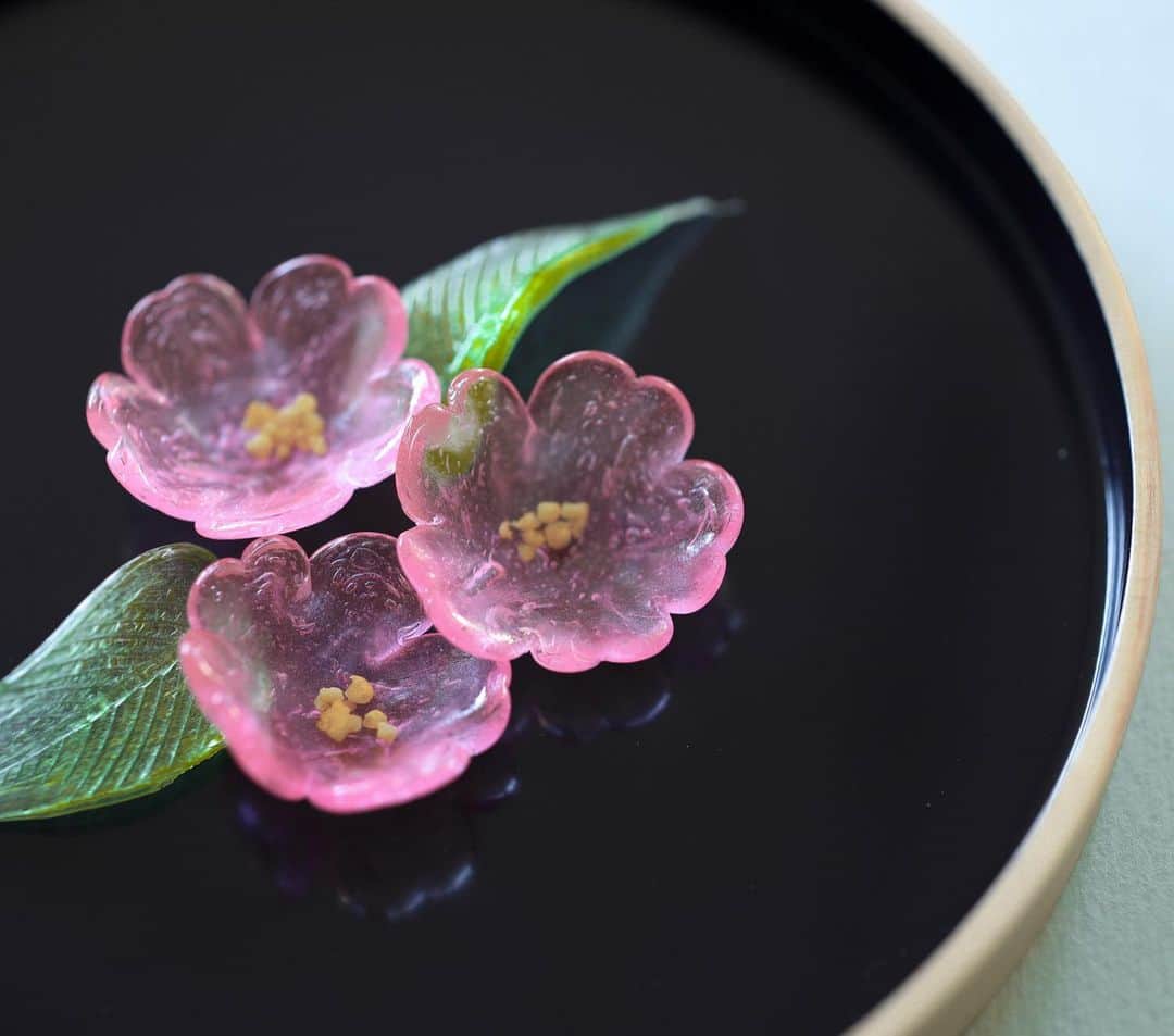 Toru Tsuchieのグルメインスタ