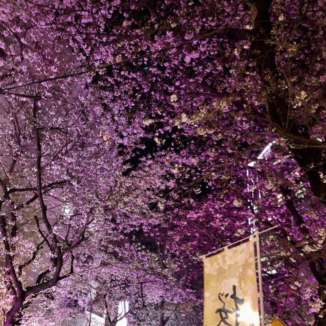 若林美保さんのインスタグラム写真 - (若林美保Instagram)「昨晩は飯田さんとスナック雨へ。 ここでもツーマンショウやる。 千絵ノムラさんとお話しできて楽しかったー。 #スナック雨 #コジンシュギ #渋谷 #花見 #ピンク #夢のツーマンショウ #コロナビール #水曜日の猫 #よだれ鯖 #パクチー女子」3月26日 7時19分 - waka_miho