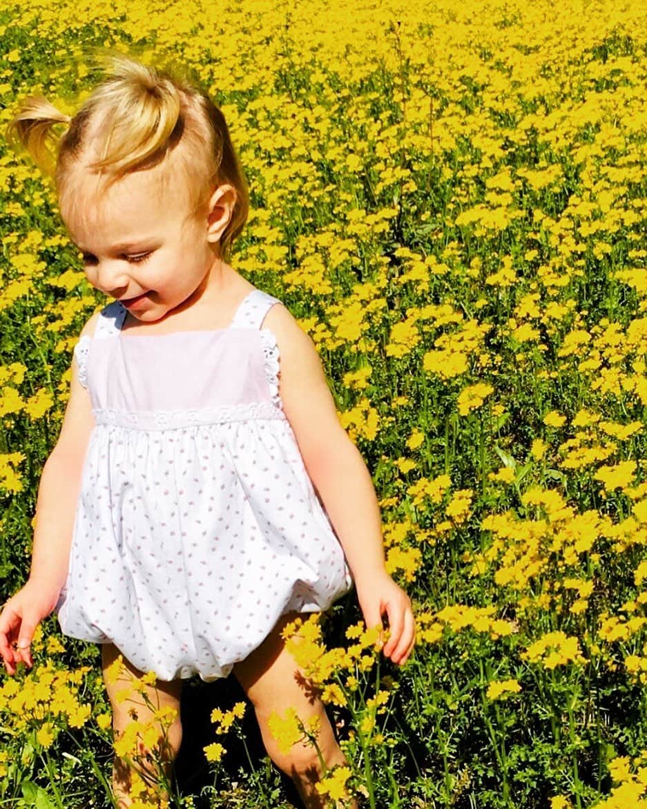 レイン・ギャリソンのインスタグラム：「Hey Dad they shouldn’t call these flowers Bitterweeds they should call them happyweeds! #spring #texas」
