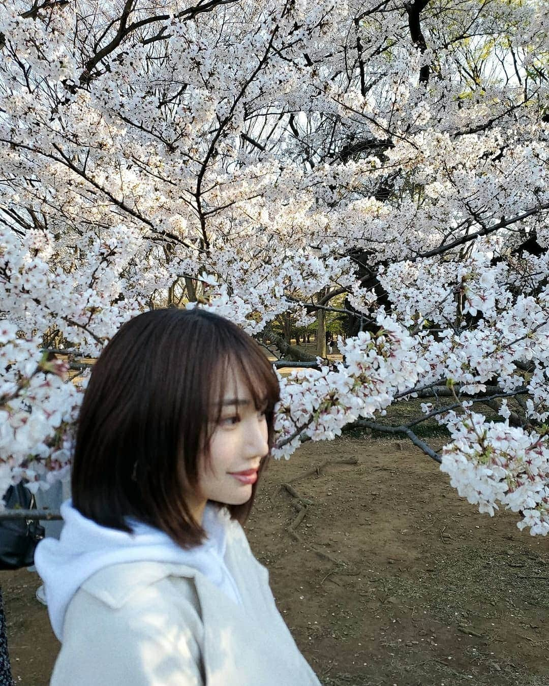 保坂玲奈さんのインスタグラム写真 - (保坂玲奈Instagram)「_______#🌸 . . #代々木公園 はほぼ満開でした✨ . #桜 は1番好きなお花😳 頑張って咲いてくれてありがとうって 気持ちになる😳」3月26日 7時38分 - __renao_0707