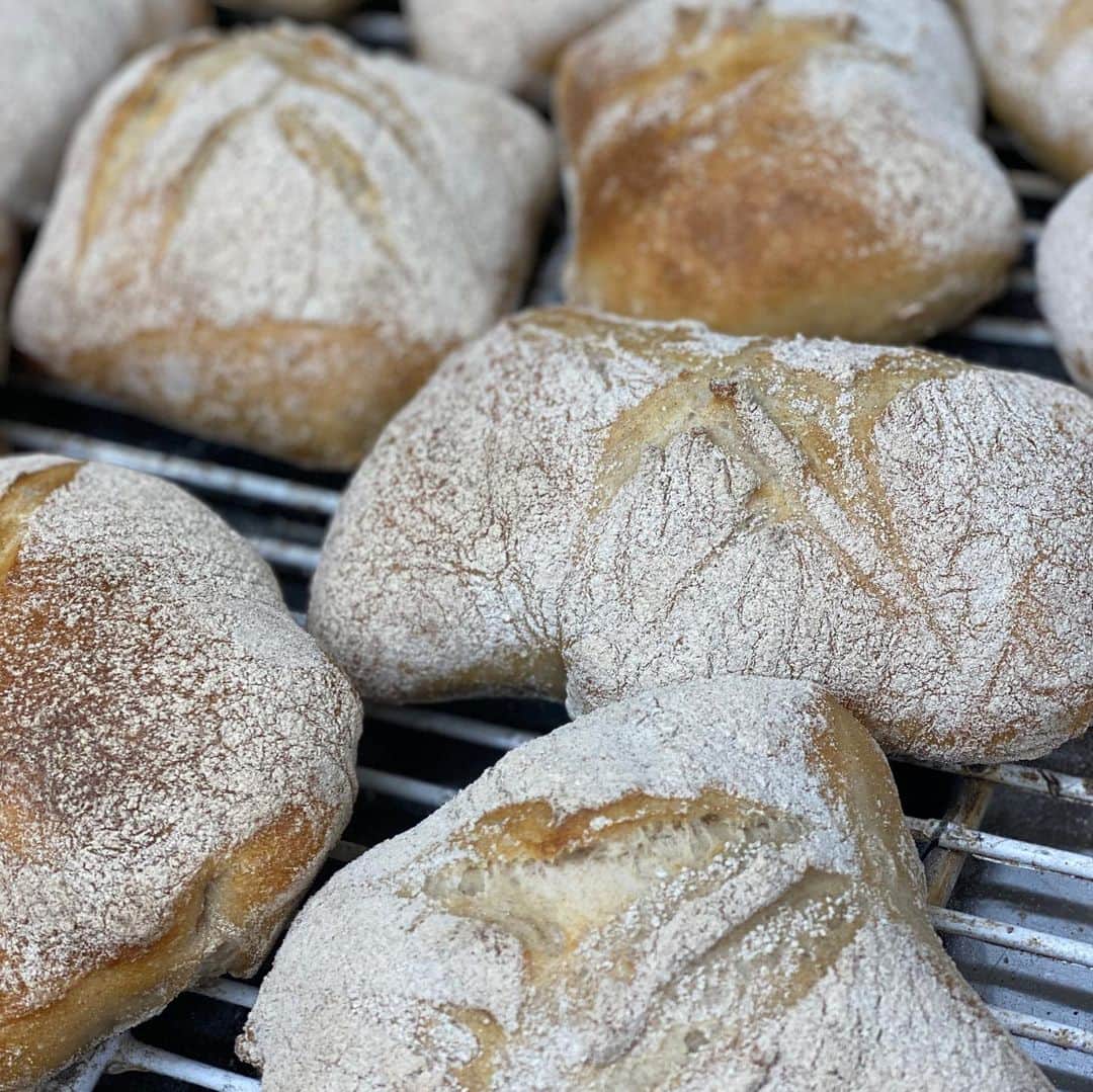 魔女菅原のグルメインスタ