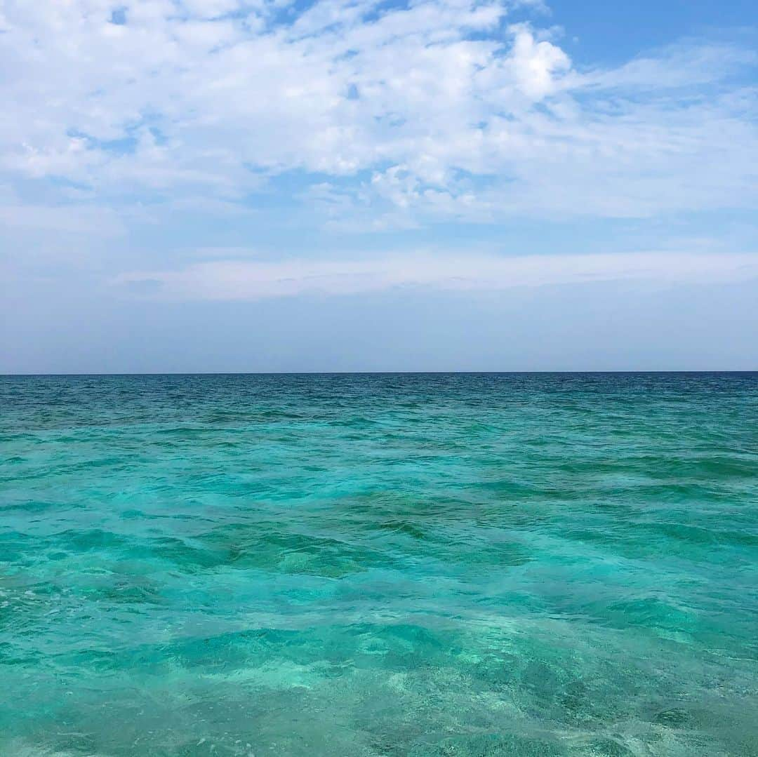 田中律子さんのインスタグラム写真 - (田中律子Instagram)「東洋のガラパゴス🏝 西表島🌞👏👏👏🌞 ひゃっほーーーーーーーいっ🏄‍♀️ 35年前のバラス島はもっと大きかったけど、かなり小さくなって、位置も変わってた❗️ 台風や、潮流で、海底や堆積が変化してる🙆‍♀️でも綺麗な海には変化なし❗️ #tokaiケーブルネットワーク  #田中律子の旅するsup  #旅sup  #シーズン4 #田中律子  #sup #supyoga  #okinawajapan」3月26日 10時01分 - ri2kotanaka