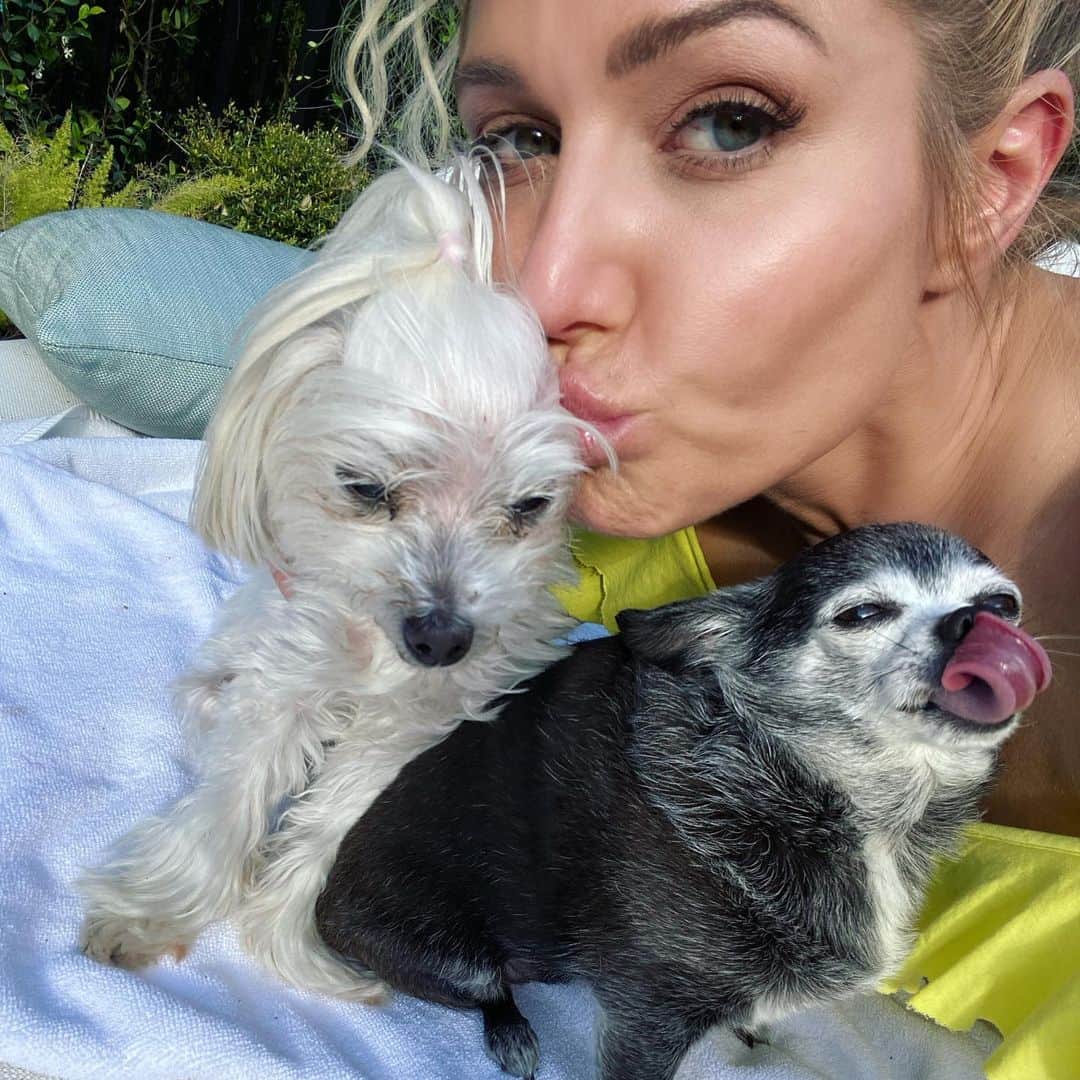 トリー・ウィルソンのインスタグラム：「. Today, Pepper killed it showing us her party tricks. . #StayHome .」