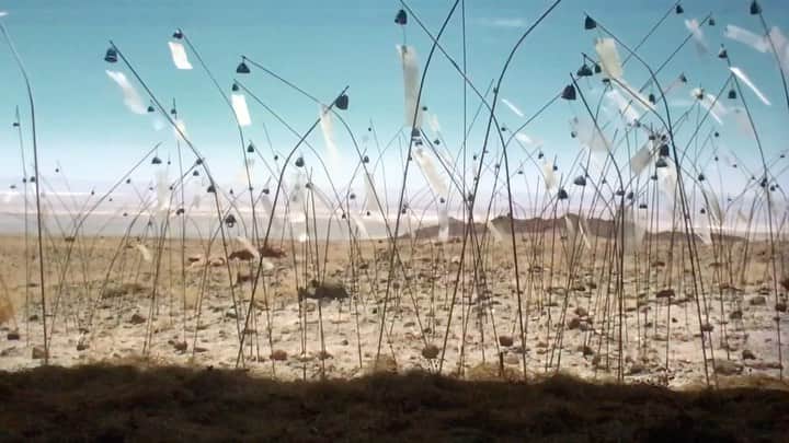 倉岡晋也のインスタグラム：「It’s important to take time to calm down.I’m thinking my beautiful memories / smiling face / your soul at every day every night every moment.  #christianboltanski」