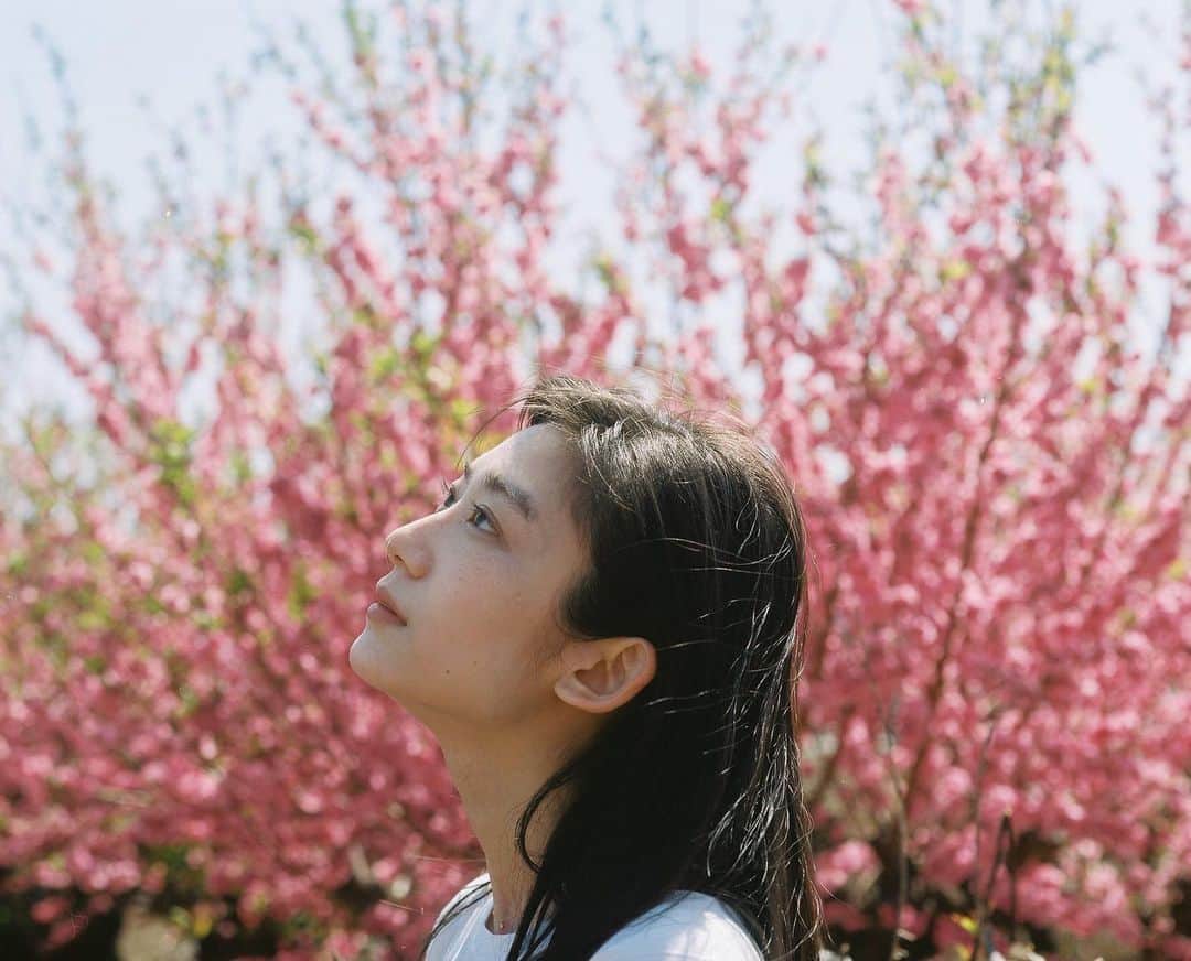 中田絢千さんのインスタグラム写真 - (中田絢千Instagram)「ln full bloom.  photo by @ko_ta_s」3月26日 10時37分 - ayaka_nakata