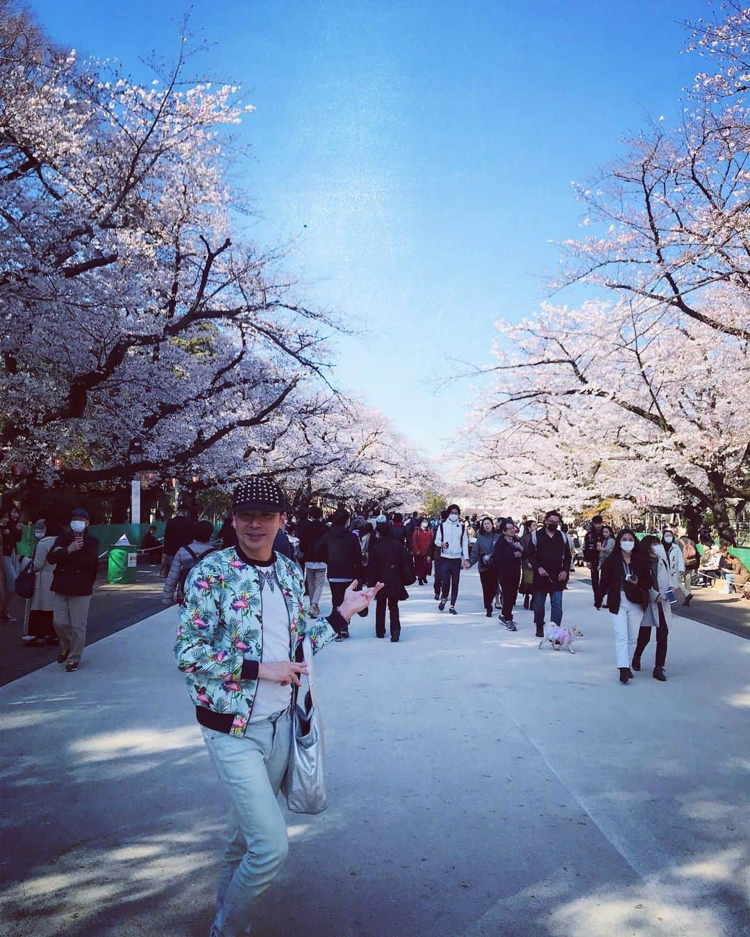 美川憲二さんのインスタグラム写真 - (美川憲二Instagram)「女子会お花見よー💁‍♀️💁‍♀️💁‍♀️💁‍♀️🌸🌸🌸🌸🌸🌸🌸🌸😃✌️✌️ たのすぃ😃⤴️ たのすぃ😃⤴️ #上野公園  #お花見散歩 ##女子会お花見  #美川憲一 #美川憲二 #ヒデコフランセスカ #まりもちゃん #沖田陽向子  #ものまね」3月26日 11時34分 - mikawakenji